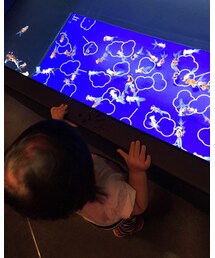 触っちゃった… | その他