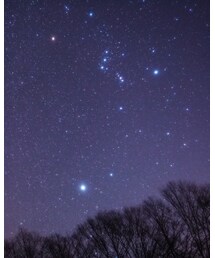 星空 | その他