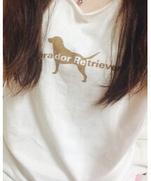 Labrador Retriever | Tシャツ/カットソー