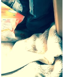 UNIQLO | ソックス/靴下