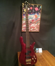 Warwick | Streamer Stage I 4(その他雑貨)