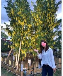 藤の花と私💓 | 藤の花と私♡(その他)