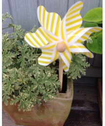 黄色いアイテム | インテリア