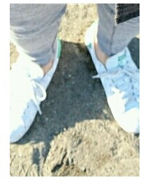 adidas | スニーカー