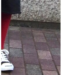 UNIQLO | タイツ/ストッキング