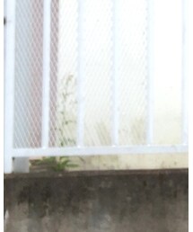 LAUREN RALPH LAUREN | シャツ/ブラウス