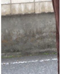 used | スウェット