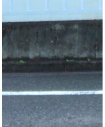 JOURNAL STANDARD | スウェット