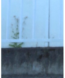 brand ? | ニット/セーター