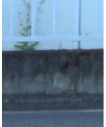 JOURNAL STANDARD | パンツ