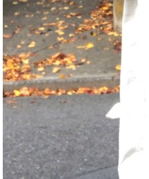 RALPH LAUREN | ベルト