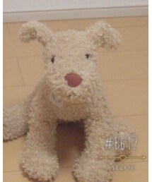 LBC | その他雑貨