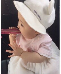 とりあえず何でも味見 | その他