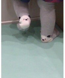 Birthday | タイツ/ストッキング