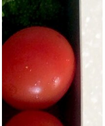 近郊農家のミニトマト | ハンチング/ベレー帽