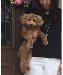 クレマ | おもちゃ