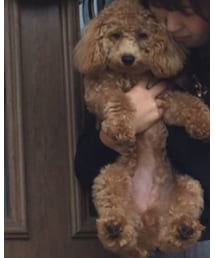 クレマ♡ | その他