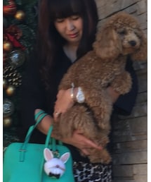 kate spade new york | バングル/リストバンド