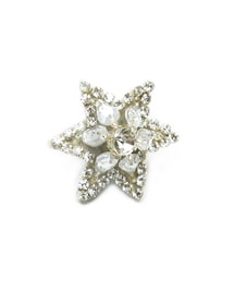 スターピアス(ピアス（両耳用）)