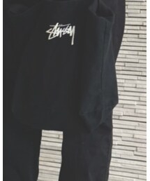 STUSSY | トートバッグ