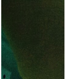 WEGO | その他アウター