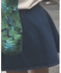 American Apparel | デニムスカート