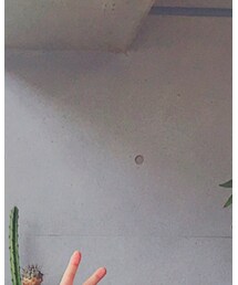 THE NORTH FACE | ダウンジャケット/コート