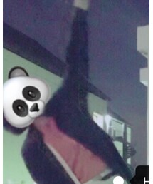 calvinklein | シャツ/ブラウス