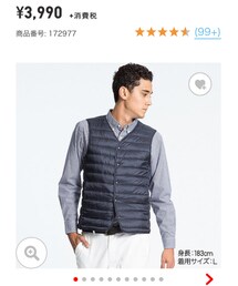 UNIQLO | ダウンベスト