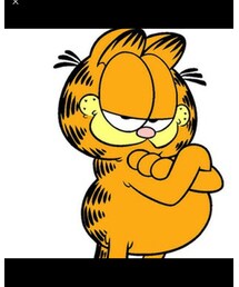 Timberland | その他