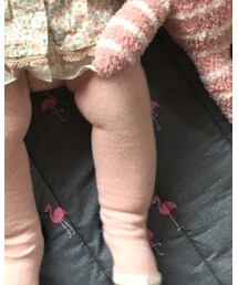 Birthday | タイツ/ストッキング