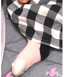 Birthday | タイツ/ストッキング