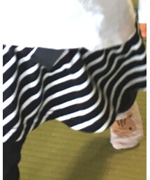 Birthday | パンツ