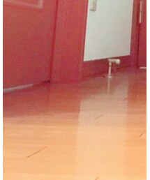 THE KISS COUPLE'S | リング
