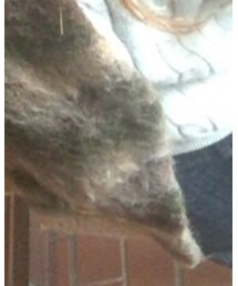 EMODA | ジャケット/アウター