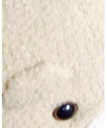 ted | 雑貨/ホビー