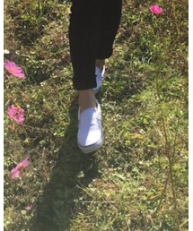 VANS | スニーカー