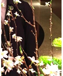 DRESSTERIOR | ジャケット/アウター