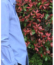 無印良品 | シャツ/ブラウス