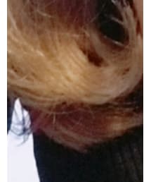 韓国服　プチプラ | ニット/セーター