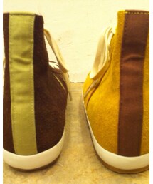 Inpaichthys kerri | スニーカー