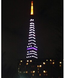 東京タワー | その他