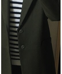 Inpaichthys kerri | チェスターコート