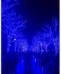 青の洞窟 | その他