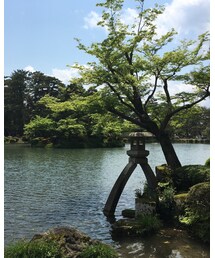 兼六園 | その他