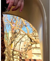 TINYCOTTONS | レギンス/スパッツ