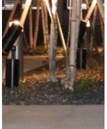 靴下屋 | レッグウェア