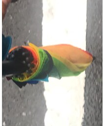 FLYING TIGERS | その他