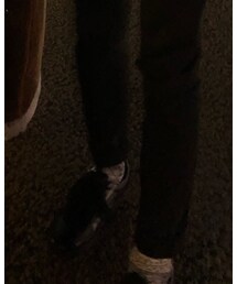 VANS | スニーカー