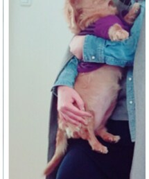 うちの犬 | その他